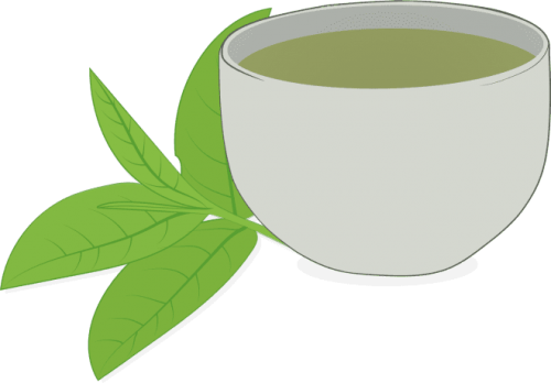 Czarka herbaty z liśćmi rysunek wektorowy